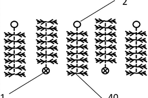 天然氣水合物排式水平井化學(xué)驅(qū)開采的方法