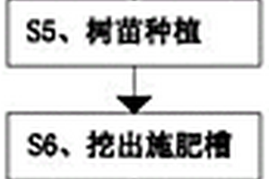 沃柑的高密度種植方法