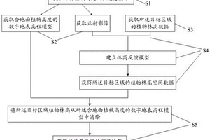 潮灘植被區(qū)地形反演方法及系統(tǒng)