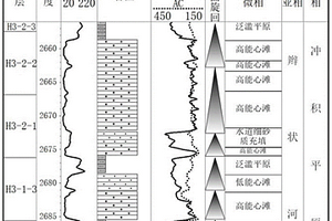 快速確定辮流帶及內(nèi)部微相組合關(guān)系的方法