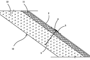 廢渣堆場的泥巖邊坡防風化和加固的結(jié)構(gòu)