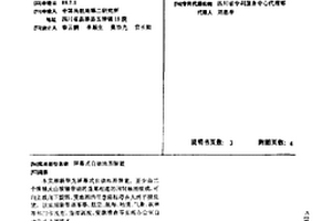 屏幕式自動地圖裝置