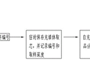 充填體分層離析度檢測方法及模型構(gòu)建方法