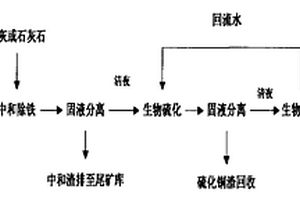 含銅鐵高濃度礦山酸性廢水處理工藝