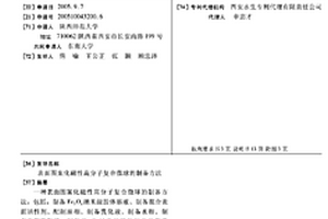 表面圖案化磁性高分子復(fù)合微球的制備方法