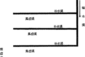 鹽湖礦床渠道滲透溶解開采方法