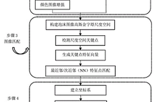 基于三維視覺(jué)信息的礦物浮選泡沫流速在線檢測(cè)裝置及方法