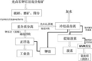 光鹵石礦重介質(zhì)選礦方法