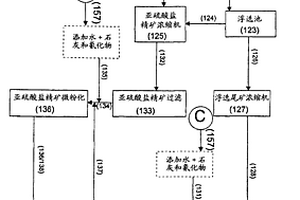 用于回收難浸礦物礦石的方法和裝置