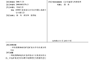 高效降解硫化礦選礦廢水中有機成分的方法