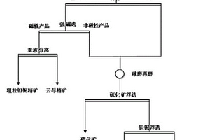 伴生鉭鈮礦的綜合回收工藝