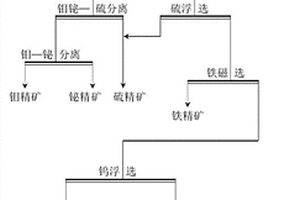 鎢鉬鉍瑩石復(fù)雜多金金屬礦選工藝