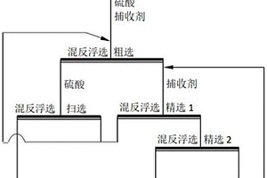 鎂硅質(zhì)磷礦混反浮選用捕收劑、制備方法及選礦方法