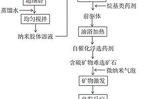 含硫難選礦物的自催化浮選藥劑、其制備方法及應(yīng)用