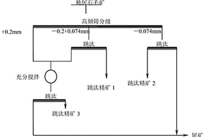 分級跳汰機分選獨居石選礦工藝