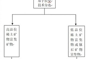 基于拉曼技術提高稀土礦品位的選礦方法