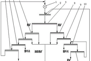 復(fù)雜難選低品位鉬礦石重介選礦預(yù)先拋廢系統(tǒng)及拋廢工藝