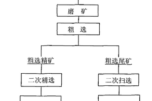 以鹵化物形式存在的銅礦物的選礦方法