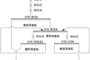 提高低品位伴生白鎢礦預(yù)選段選礦效率的方法