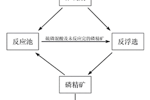 磷礦反浮選工藝