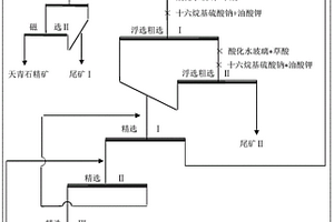 從稀土尾礦中綜合回收鍶礦物的選礦方法