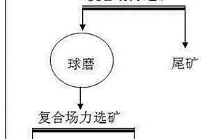 復(fù)合場(chǎng)力的重選方法