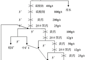 金礦預(yù)富集浮選工藝