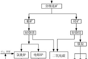 低品位菱鎂礦綜合利用的方法