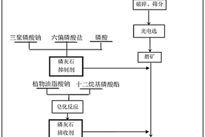 中低品位混合型膠磷礦浮選分離藥劑制度及其應用