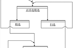 低品位錳質(zhì)磷灰?guī)r礦除鎂降錳磷正反浮選工藝