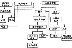 從低品味的鐵礦泥生產(chǎn)用于增值用途包括高爐進料的高純度Fe2O3的方法