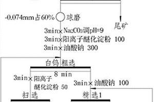 陽離子醚化淀粉在白鎢礦浮選中的應(yīng)用