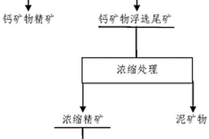 鎢錫浮選精礦中錫的富集方法