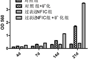 組織工程化人牙根植入材料的制備方法及其用途