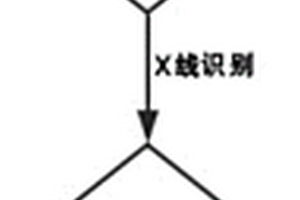 低品位浸染狀矽卡巖型白鎢礦預(yù)先拋廢工藝