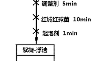 紅城紅球菌在赤鐵礦分離中的應(yīng)用及分離方法