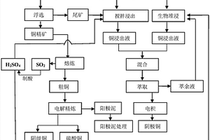 基于磨礦動力學(xué)的褐煤易磨系數(shù)測定方法