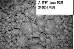 復合膠凝材料結合碳酸化養(yǎng)護技術制備工業(yè)固廢基免燒磚的方法