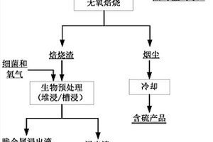 鮑魚殼水溶性基質(zhì)及其制備方法和應(yīng)用