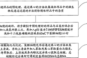 改性Sup-25瀝青混凝土下面層施工方法