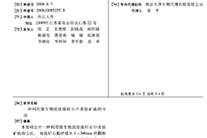 具有高二氧化碳選擇性的含氯有機(jī)廢氣催化燃燒催化劑及其制備和應(yīng)用