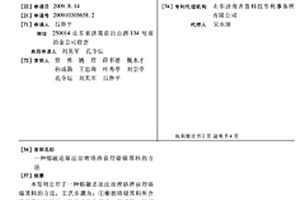 降低苯類排放的汽油管路促燃器、生產(chǎn)及使用方法