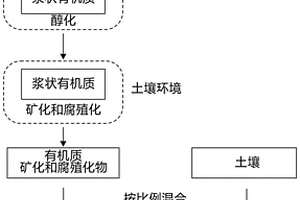 碳對(duì)電極及制備方法及鈣鈦礦太陽能電池的制備方法