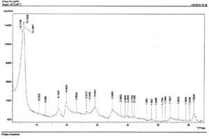 仿生天然骨礦組成的羥基磷灰石/白磷鈣石生物活性陶瓷支架及其制備方法