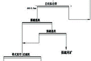 斑馬魚骨質(zhì)疏松模型的構(gòu)建方法及其應(yīng)用