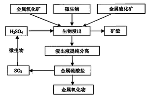 富硒茶葉專用肥及其應(yīng)用