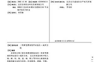 用于地下礦山巷道冒落區(qū)及破碎帶的錨桿自鎖結(jié)構(gòu)