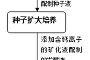 針對(duì)三軟回采巷道圍巖加固的注漿方法