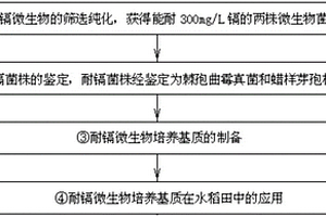 黑芝麻湯圓及其制備方法