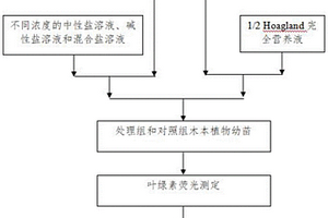 富硒營(yíng)養(yǎng)活力素及其制備方法、應(yīng)用